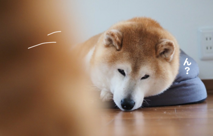 17日ブログ４