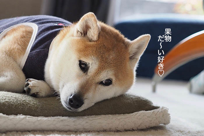 12日ブログ４