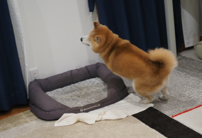 22日夕ブログ２７