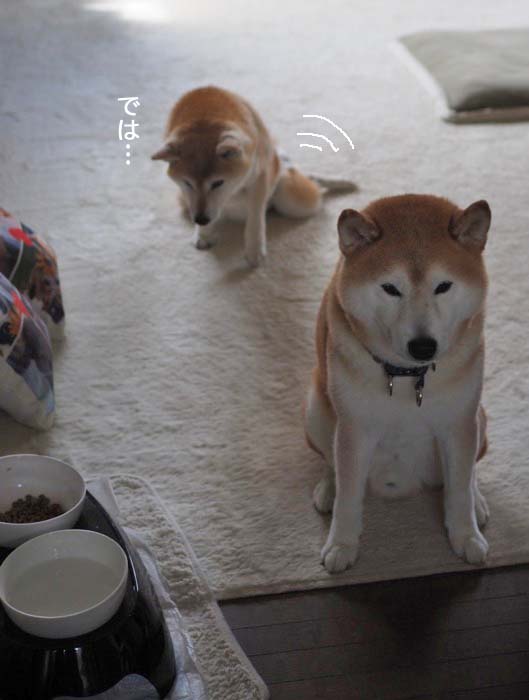 22日夜ブログ５