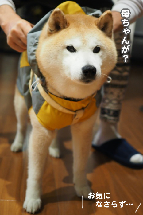 20日ブログ３