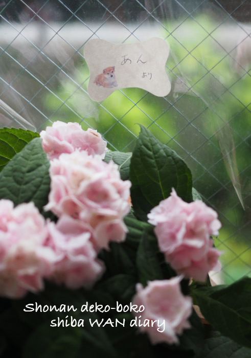 11日夕ブログ2