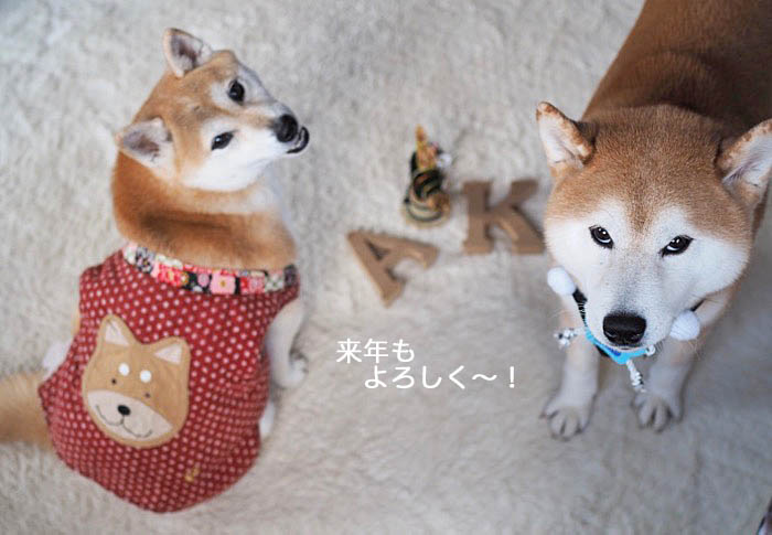 31日夜ブログ3