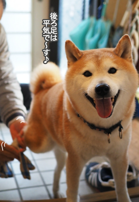 1日夜ブログ７