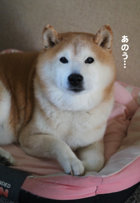 2日ブログ１