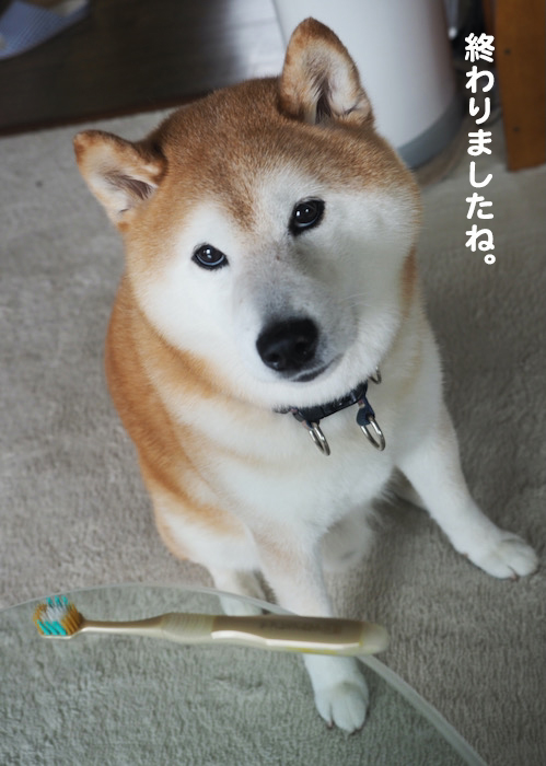 23日夕ブログ８