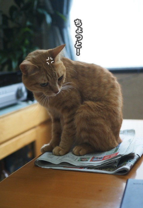 30日ブログ２
