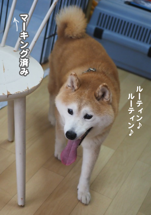 7日夕ブログ７