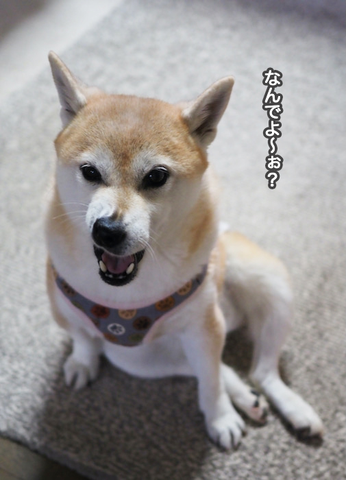 14日ブログ３