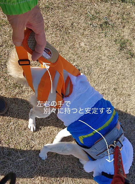 29日ブログ2