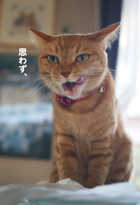 25日ブログ４