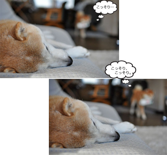 14日ブログ5.jpg