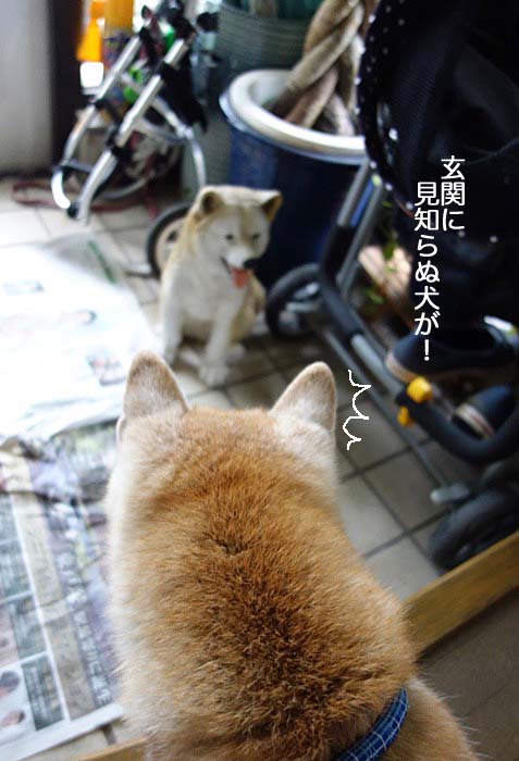 9日昼ブログ２