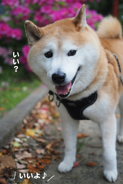 24日夕ブログ６