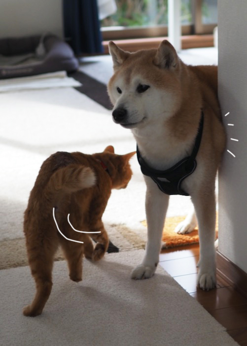 15日夕ブログ３