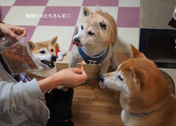 30日午後ブログ4