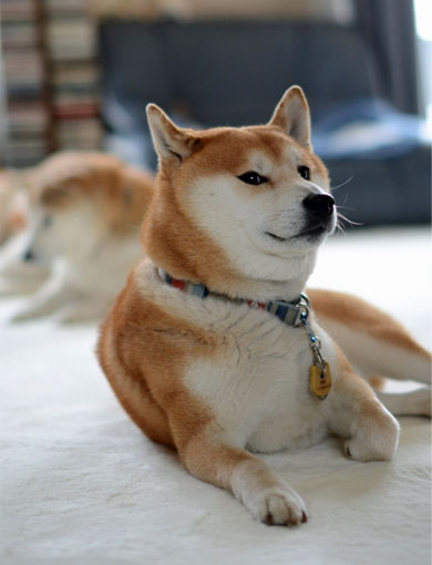 22日ブログ3.jpg