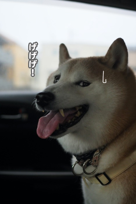 18日夕ブログ２
