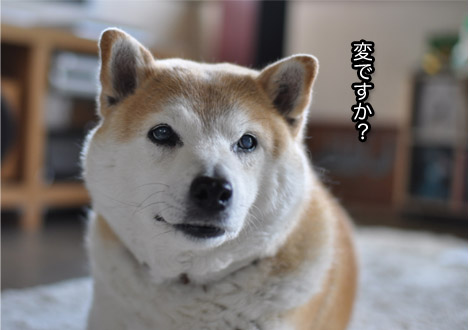 5日ブログ９.jpg