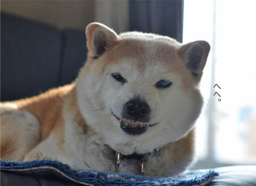 24日ブログ9.jpg