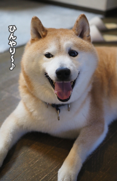 13日夜ブログ３