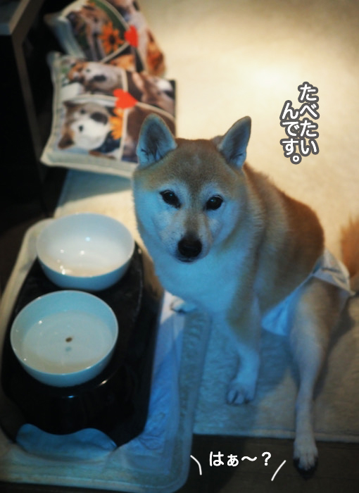 30日夜ブログ５