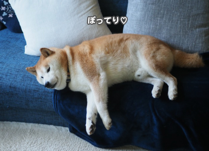 30日ブログ１