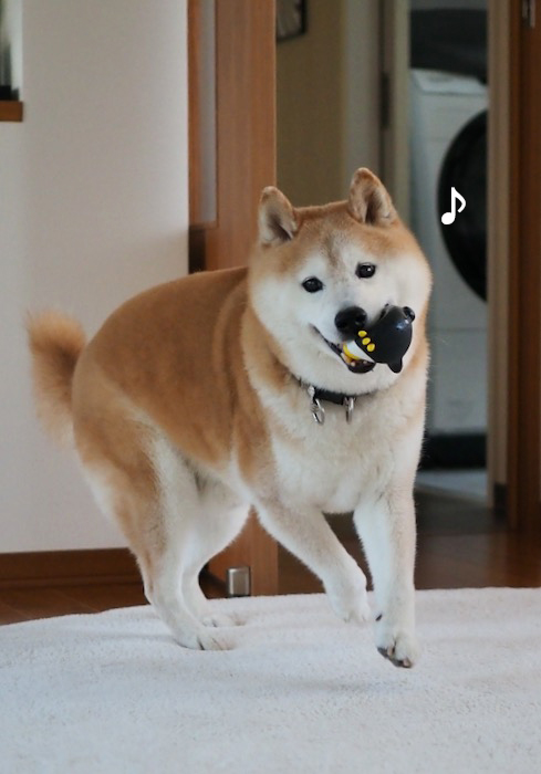 28日夕ブログ３