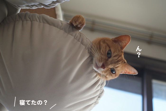 21日夕ブログ２