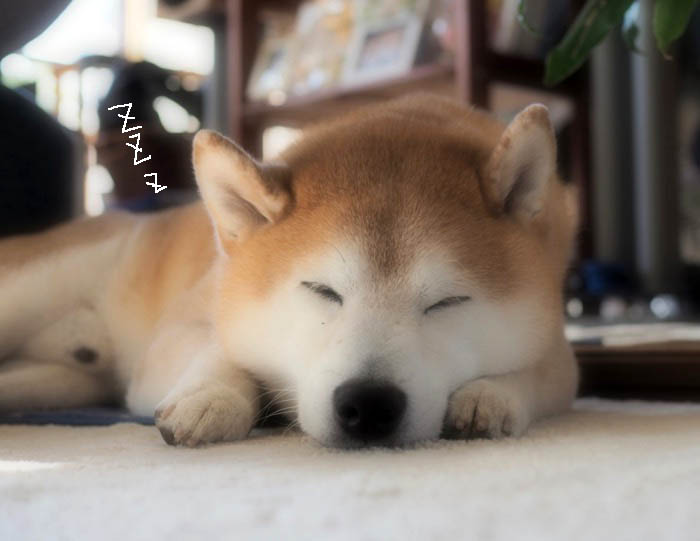 20日夜ブログ３