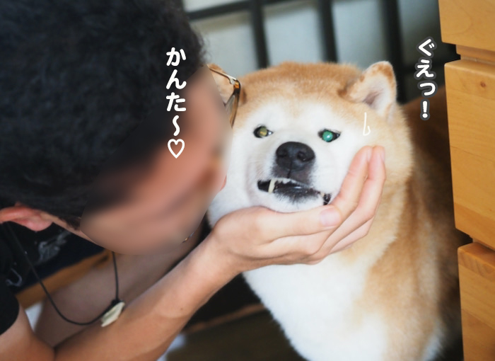 6日夕ブログ４