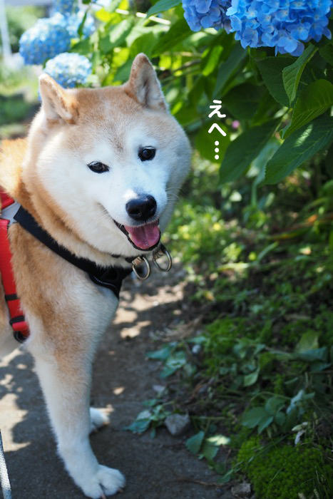 16日夕ブログ４