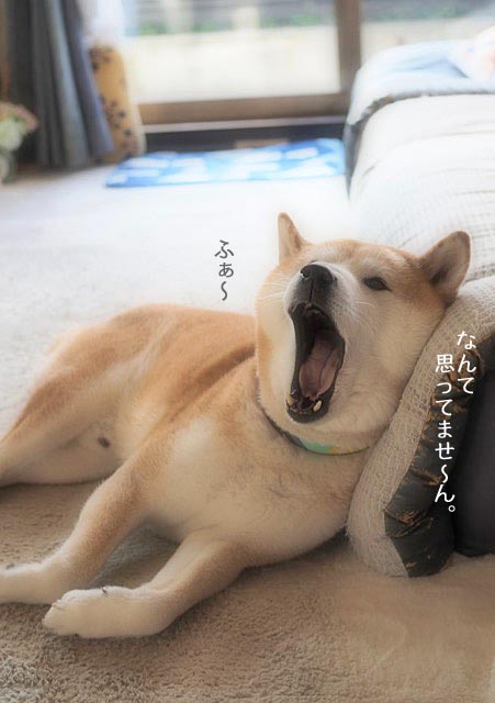 7日ブログ5