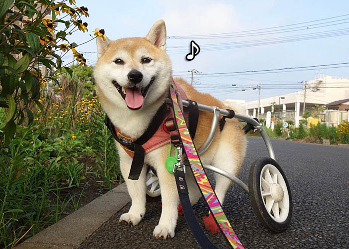 23日ブログ３