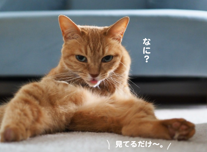 19日夜ブログ３-(1)