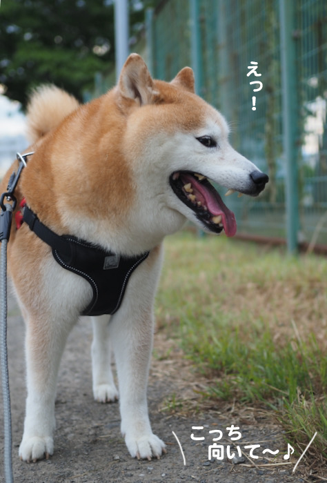 20日夜ブログ２