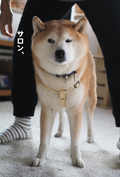 7日夕ブログ５