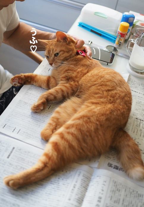 3日夕ブログ２