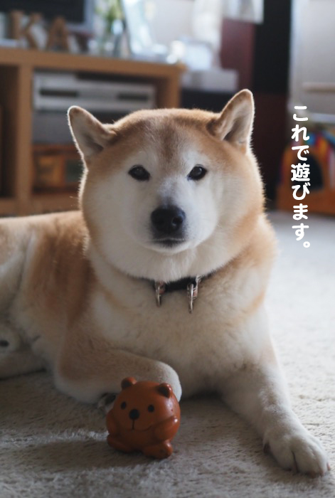 21日夕ブログ２