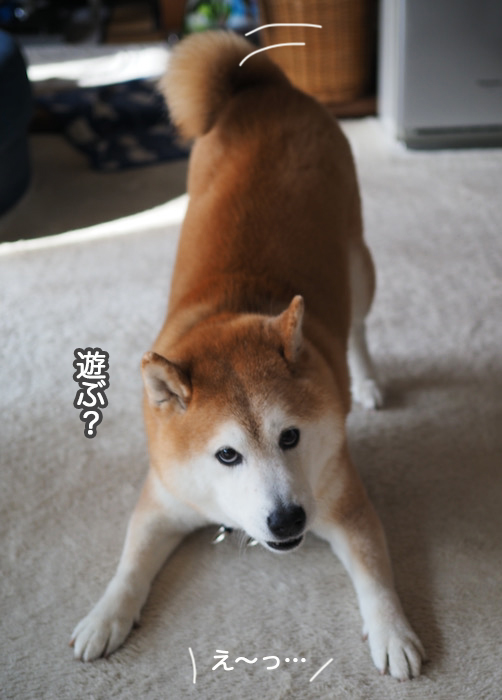 8日夜ブログ７