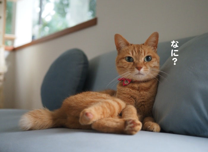10日夕ブログ３