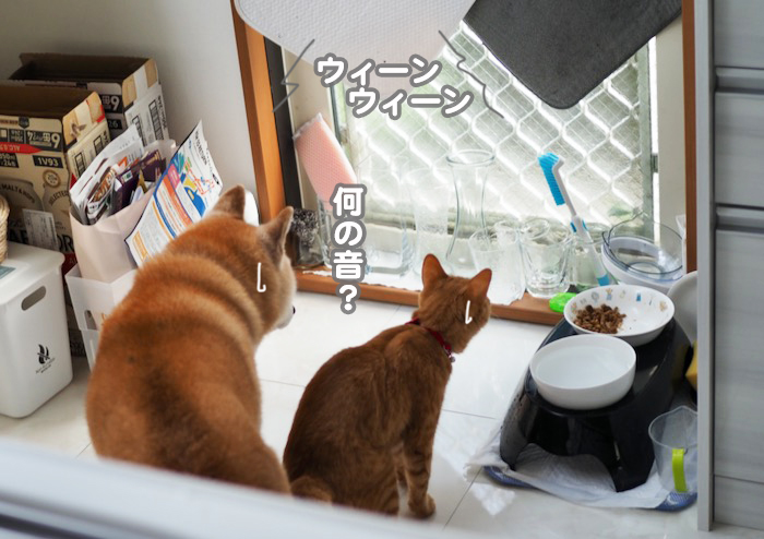 6日ブログ３