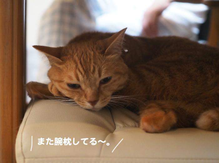 8日ブログ１