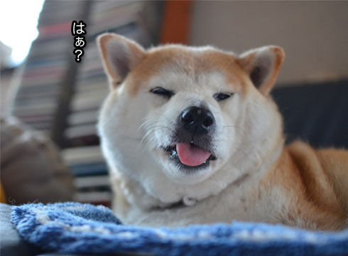 29日ブログ14.jpg