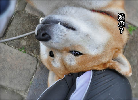 22日ブログ14.jpg