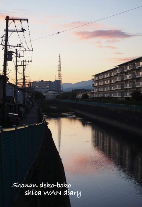 23日夕ブログ１