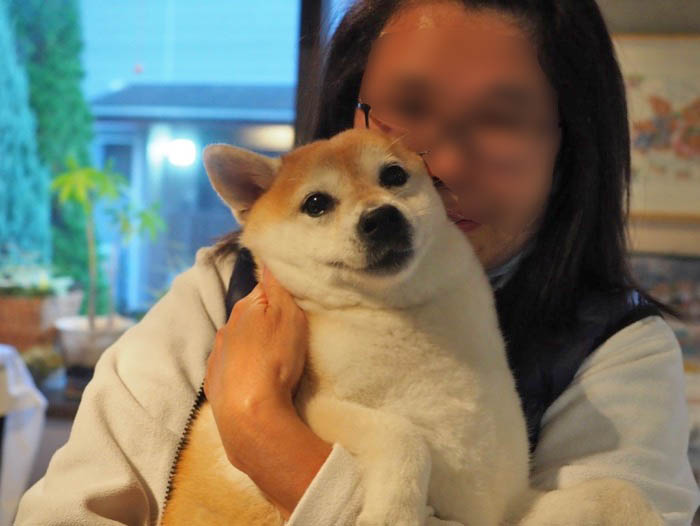 27日夜ブログ１