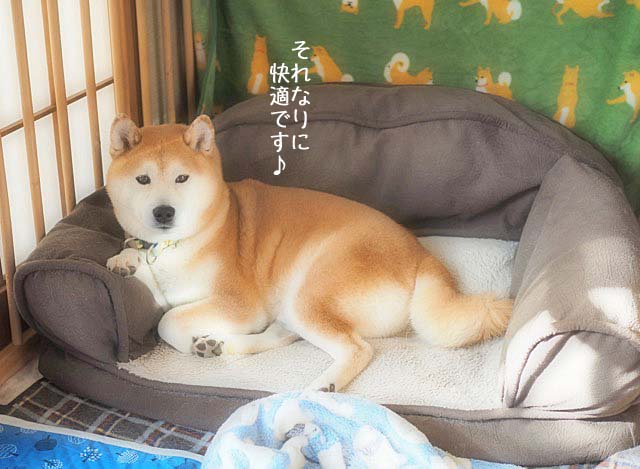 17日ブログ3