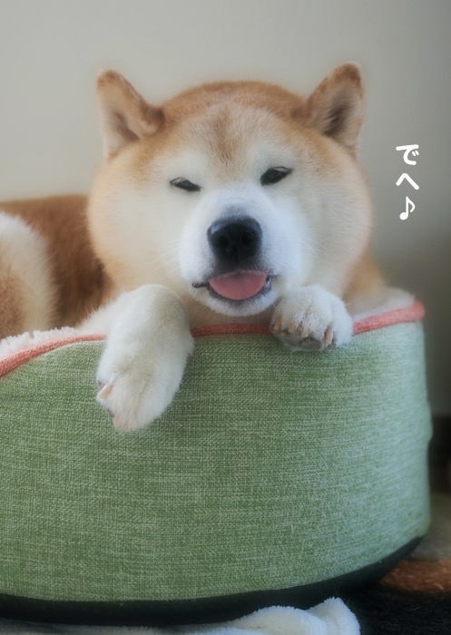 4日夕ブログ５