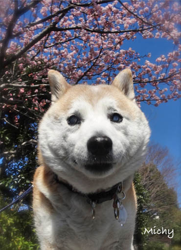 5日ブログ2.jpg